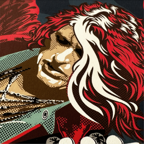 the joe perry project 04