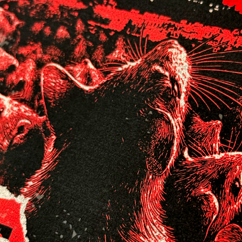 CBGB Fest Iggy_pop 06